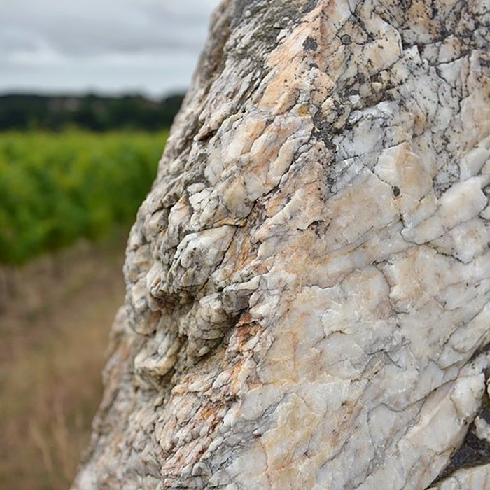 Photo de Menhir de la Pierre blanche dOudon