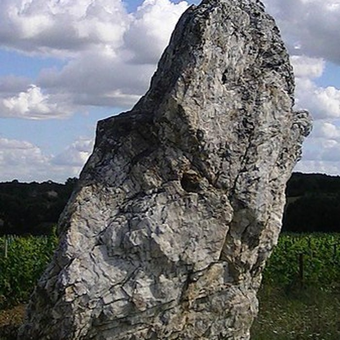 Photo de Menhir de la Pierre blanche dOudon