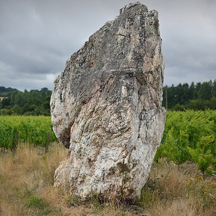 Photo de Menhir de la Pierre blanche dOudon