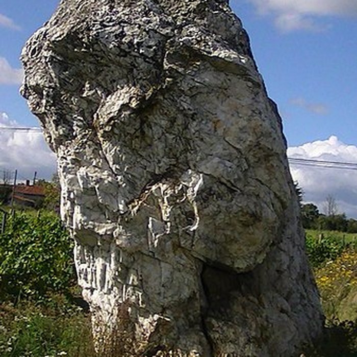 Photo de Menhir de la Pierre blanche dOudon