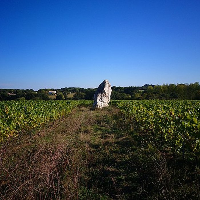 Photo de Menhir de la Pierre blanche dOudon