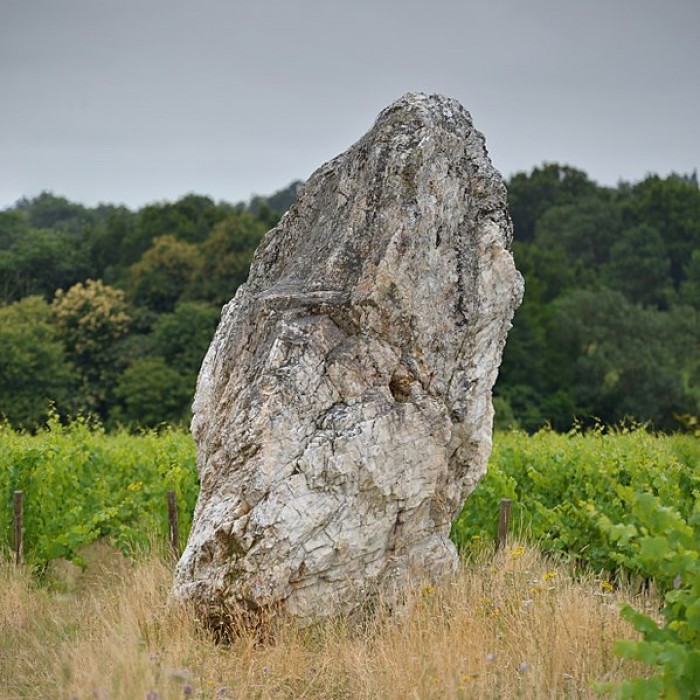Photo de Menhir de la Pierre blanche dOudon