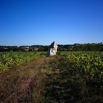 Menhir de la Pierre blanche dOudon