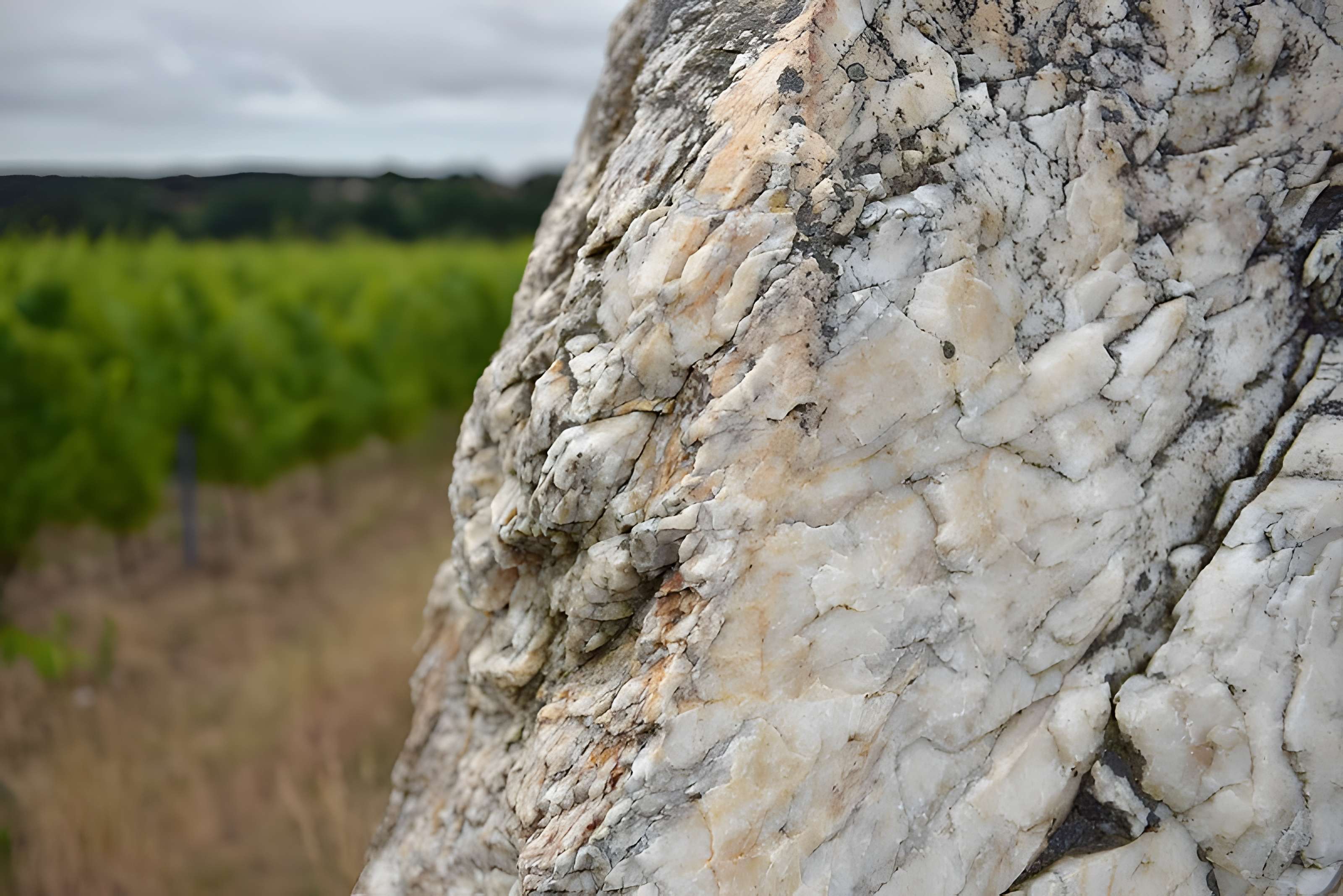 Menhir de la Pierre blanche d'Oudon