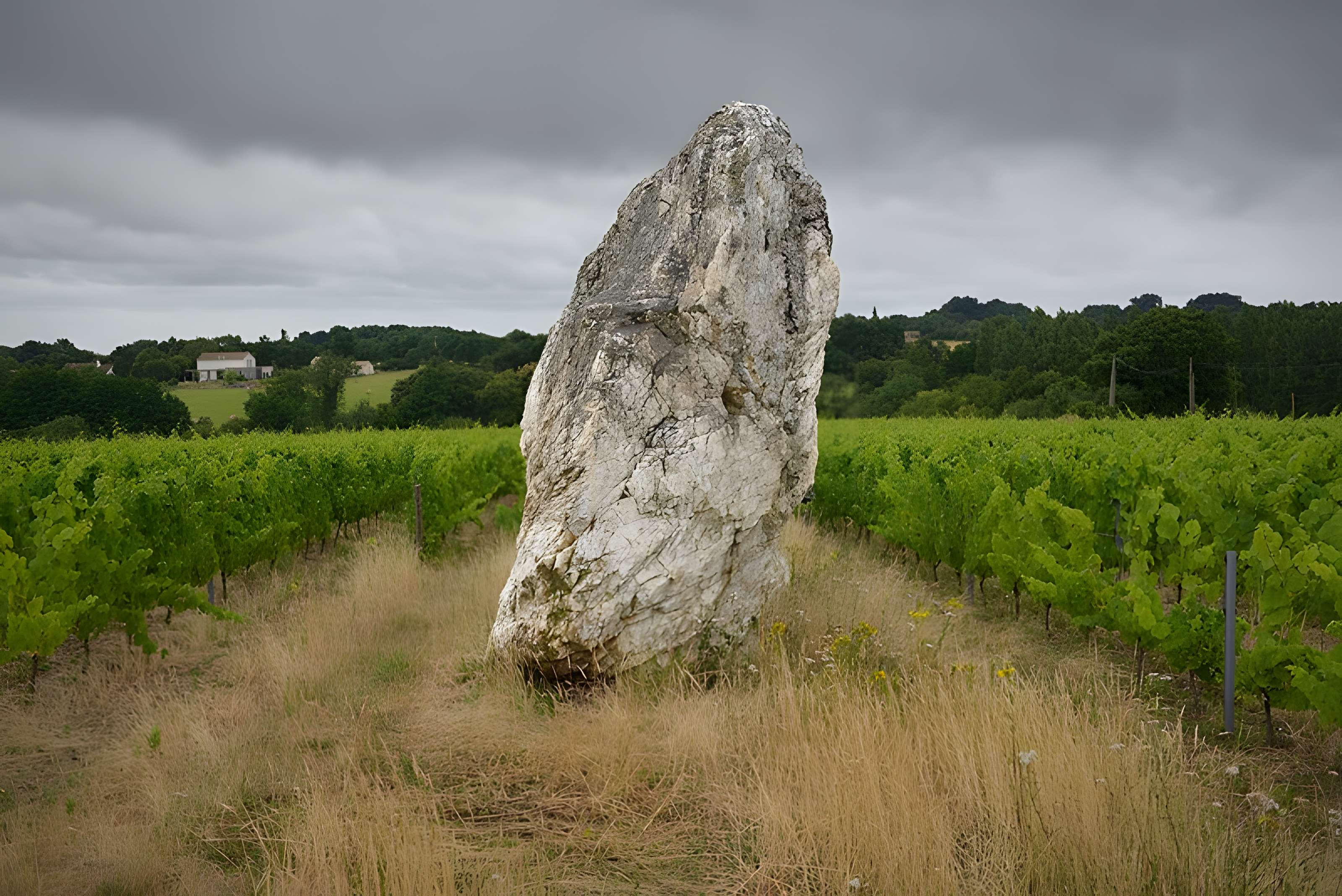 Menhir de la Pierre blanche d'Oudon