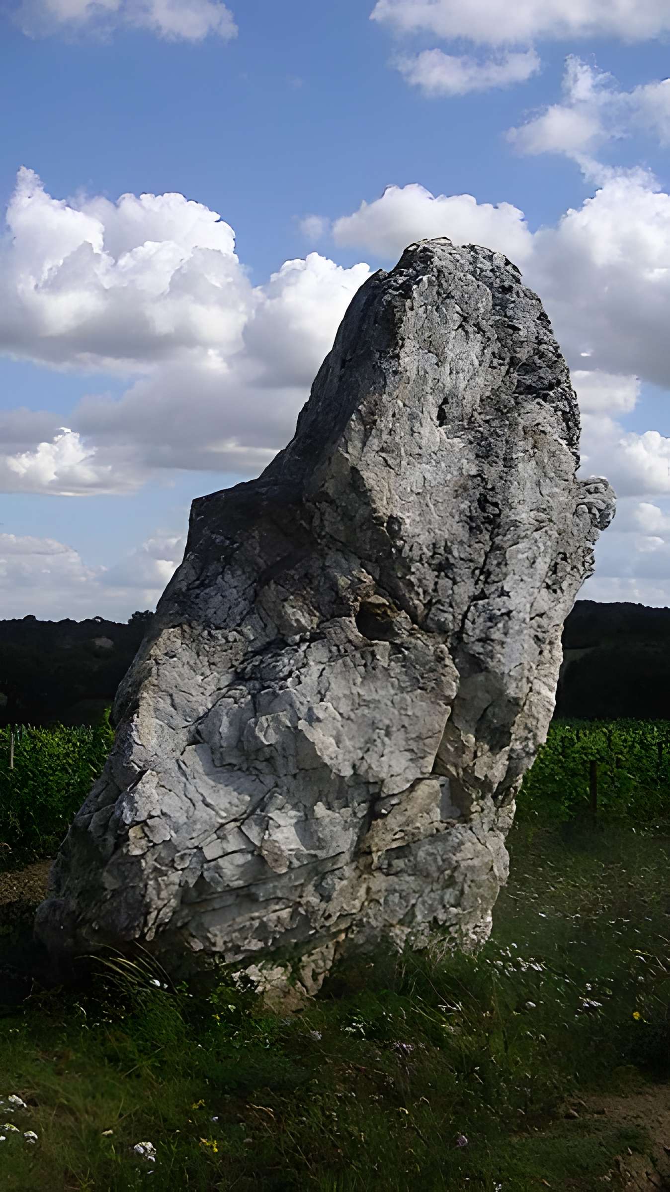 Menhir de la Pierre blanche d'Oudon