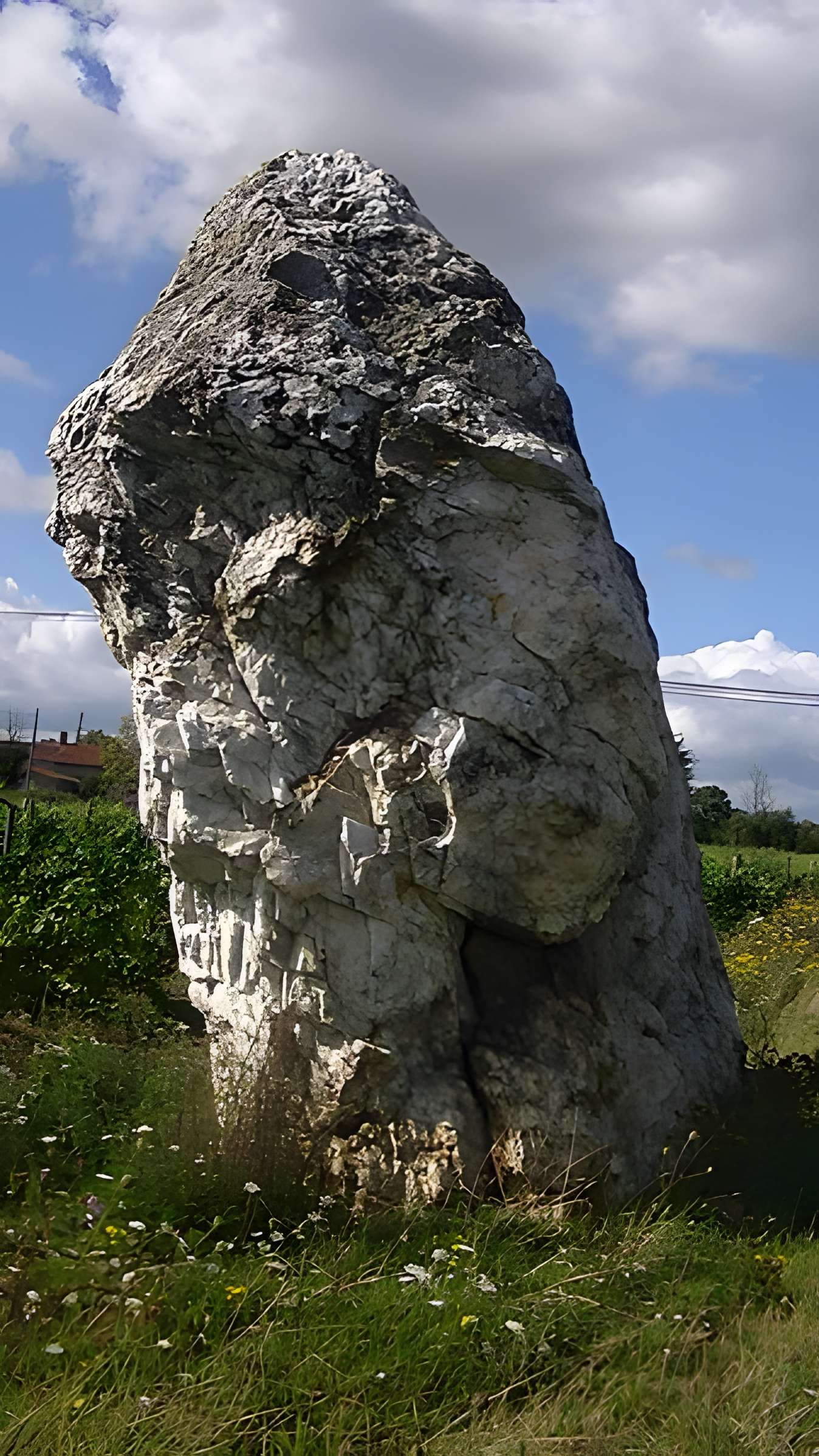 Menhir de la Pierre blanche d'Oudon