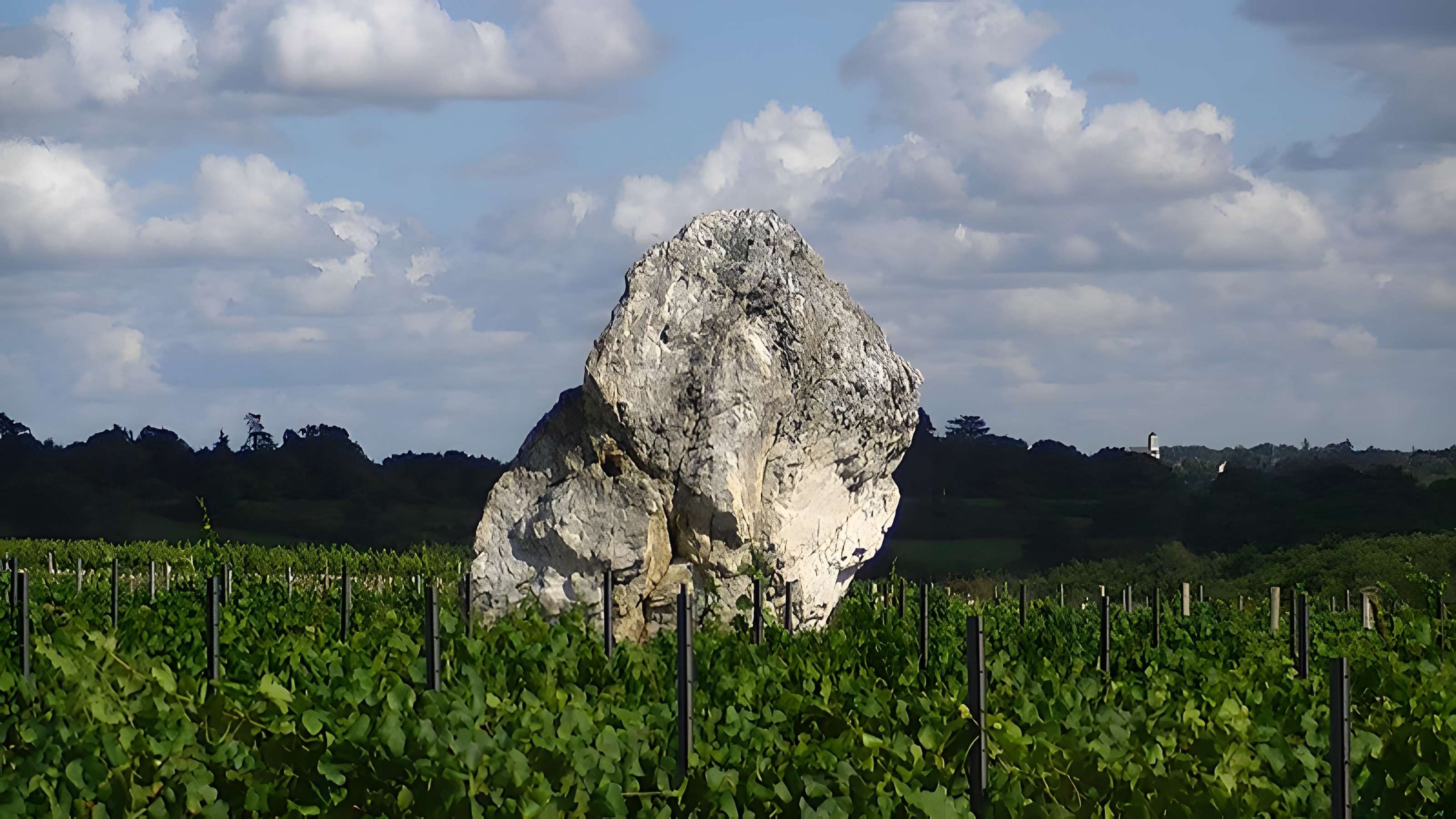 Menhir de la Pierre blanche d'Oudon