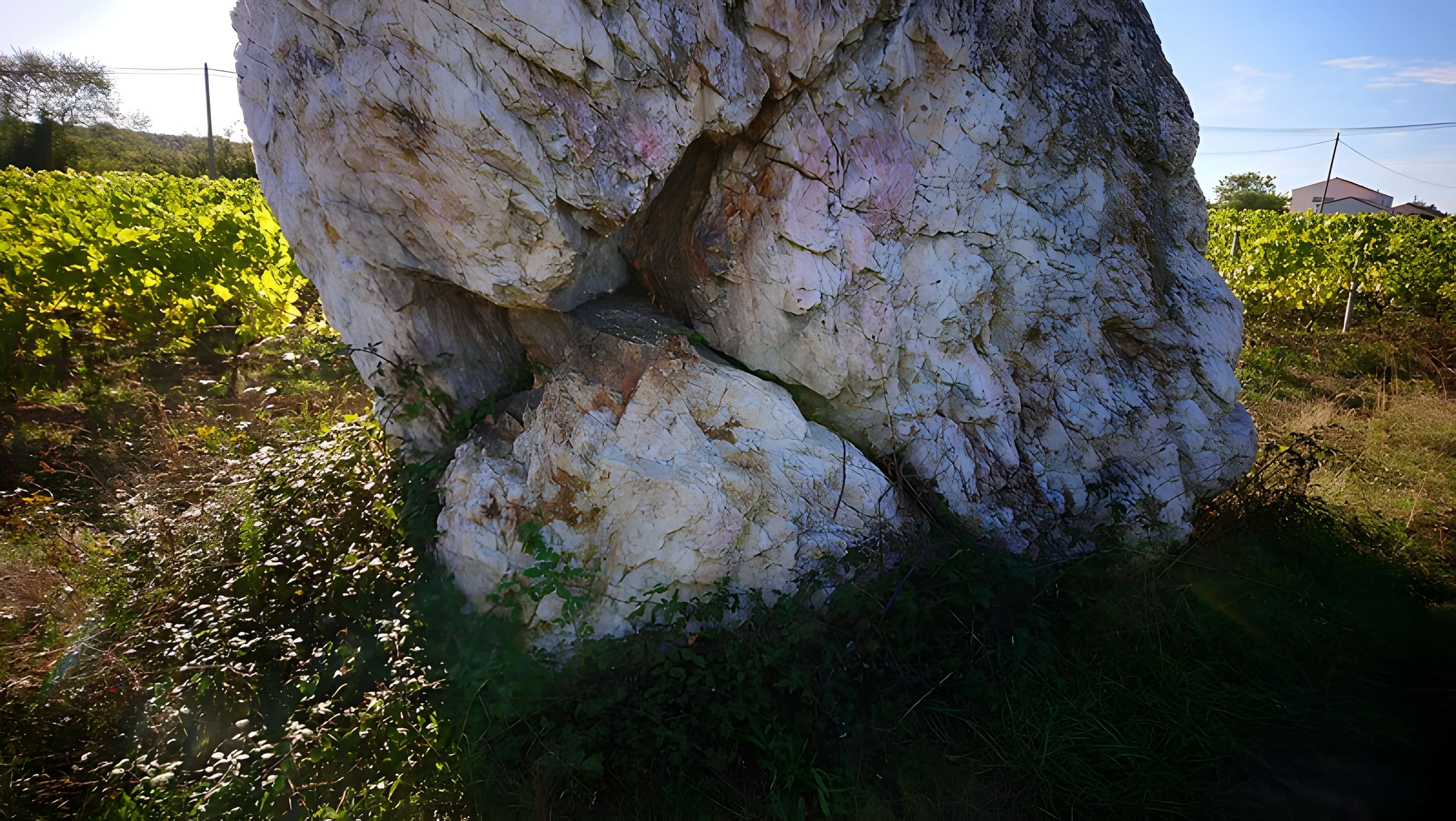 Menhir de la Pierre blanche d'Oudon
