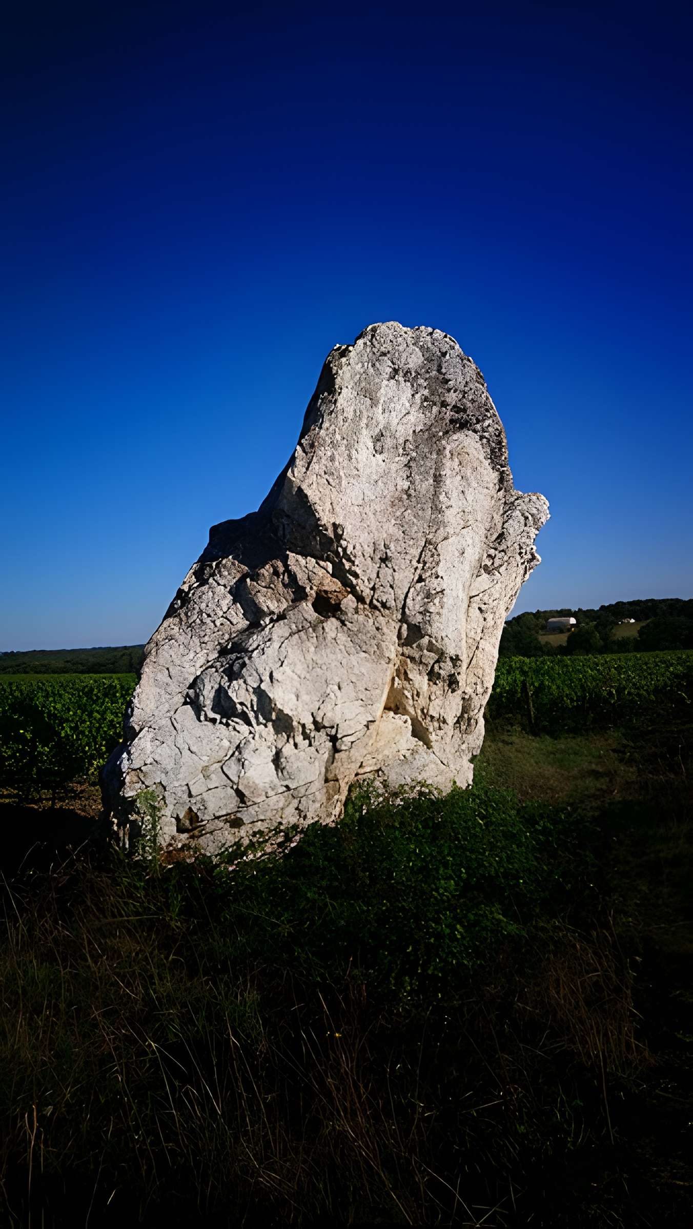Menhir de la Pierre blanche d'Oudon