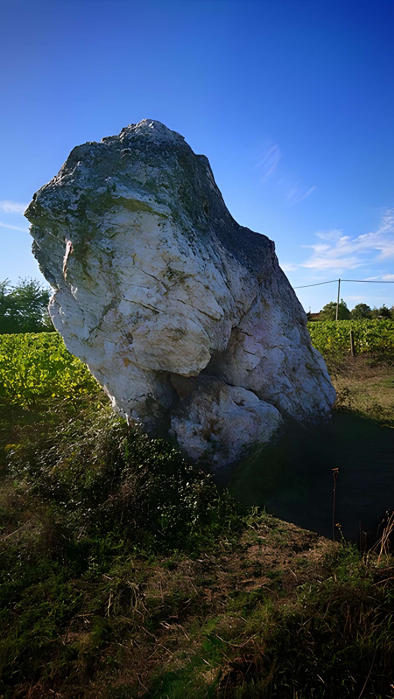 Menhir de la Pierre blanche d'Oudon