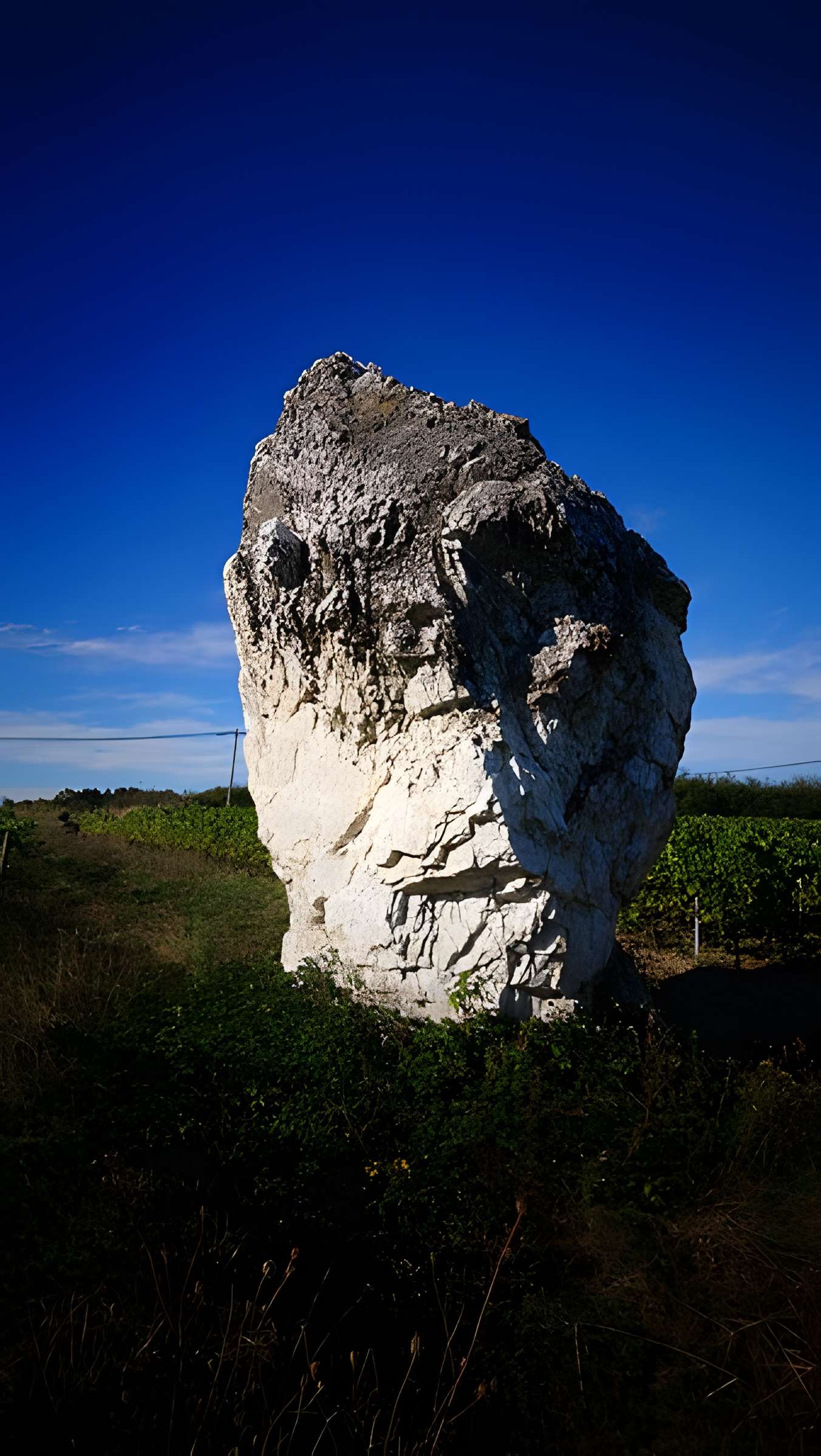 Menhir de la Pierre blanche d'Oudon
