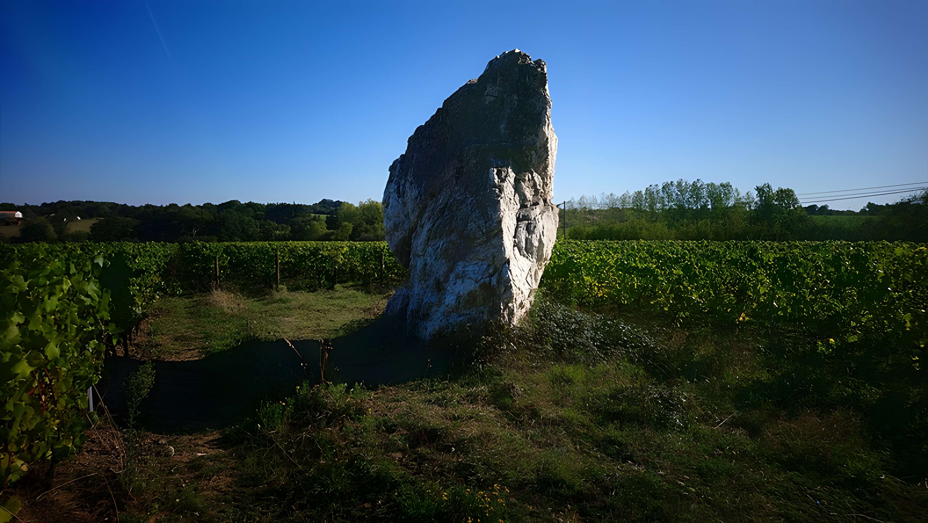 Menhir de la Pierre blanche d'Oudon