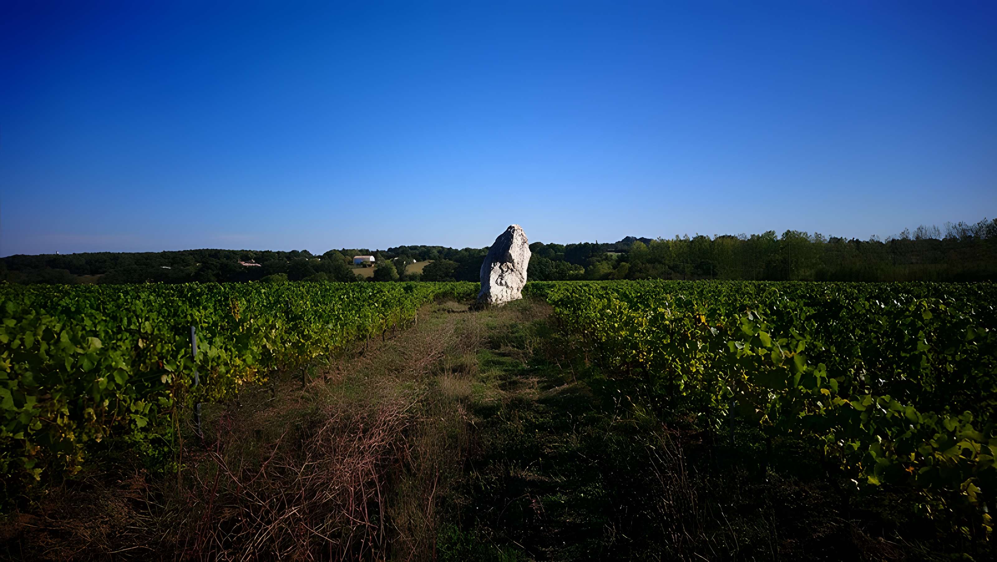 Menhir de la Pierre blanche d'Oudon