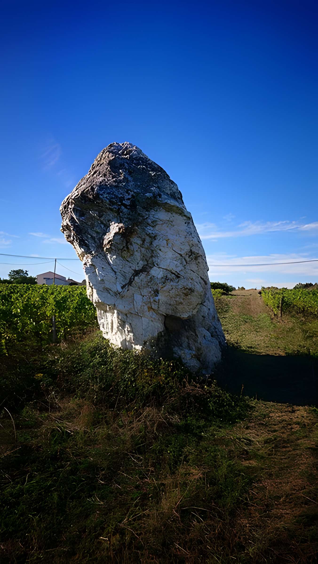 Menhir de la Pierre blanche d'Oudon