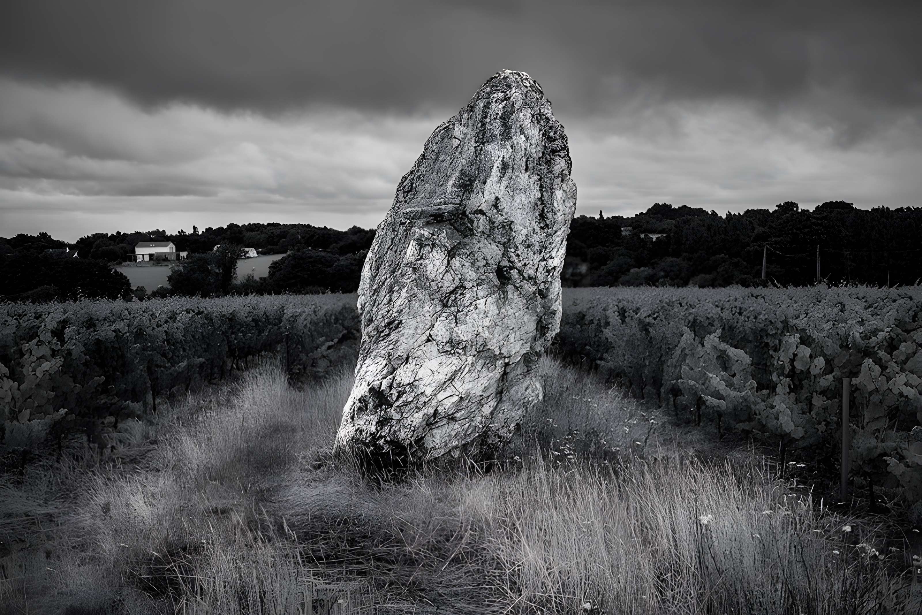 Menhir de la Pierre blanche d'Oudon