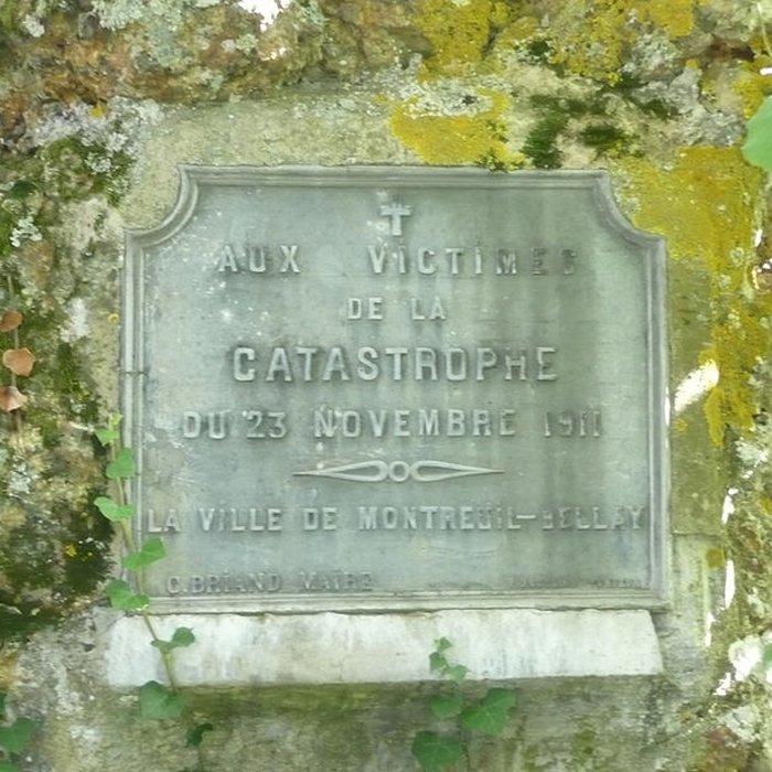 Photo de Menhir de la Pierre de Lenay de Montreuil-Bellay
