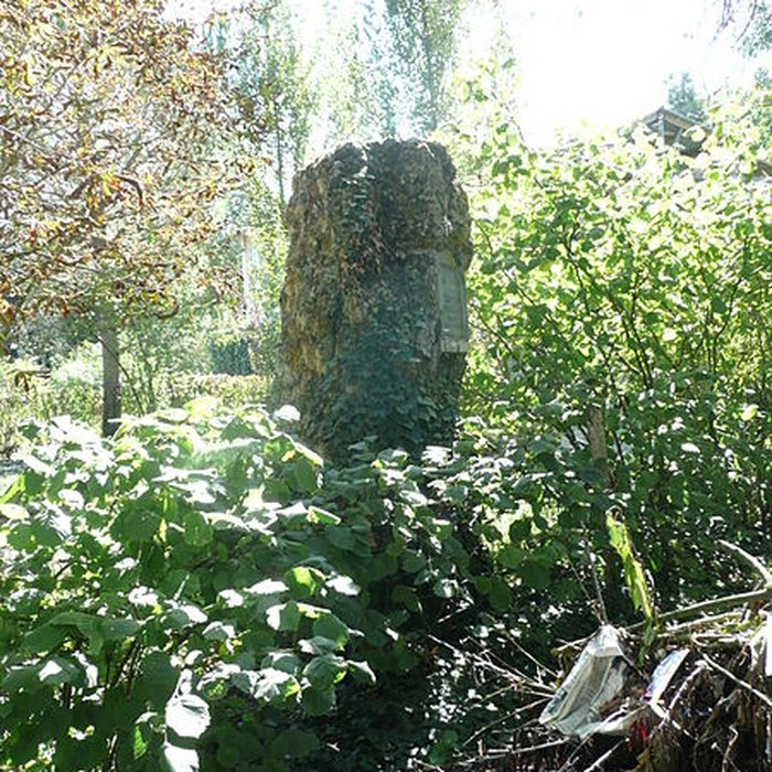 Photo de Menhir de la Pierre de Lenay de Montreuil-Bellay