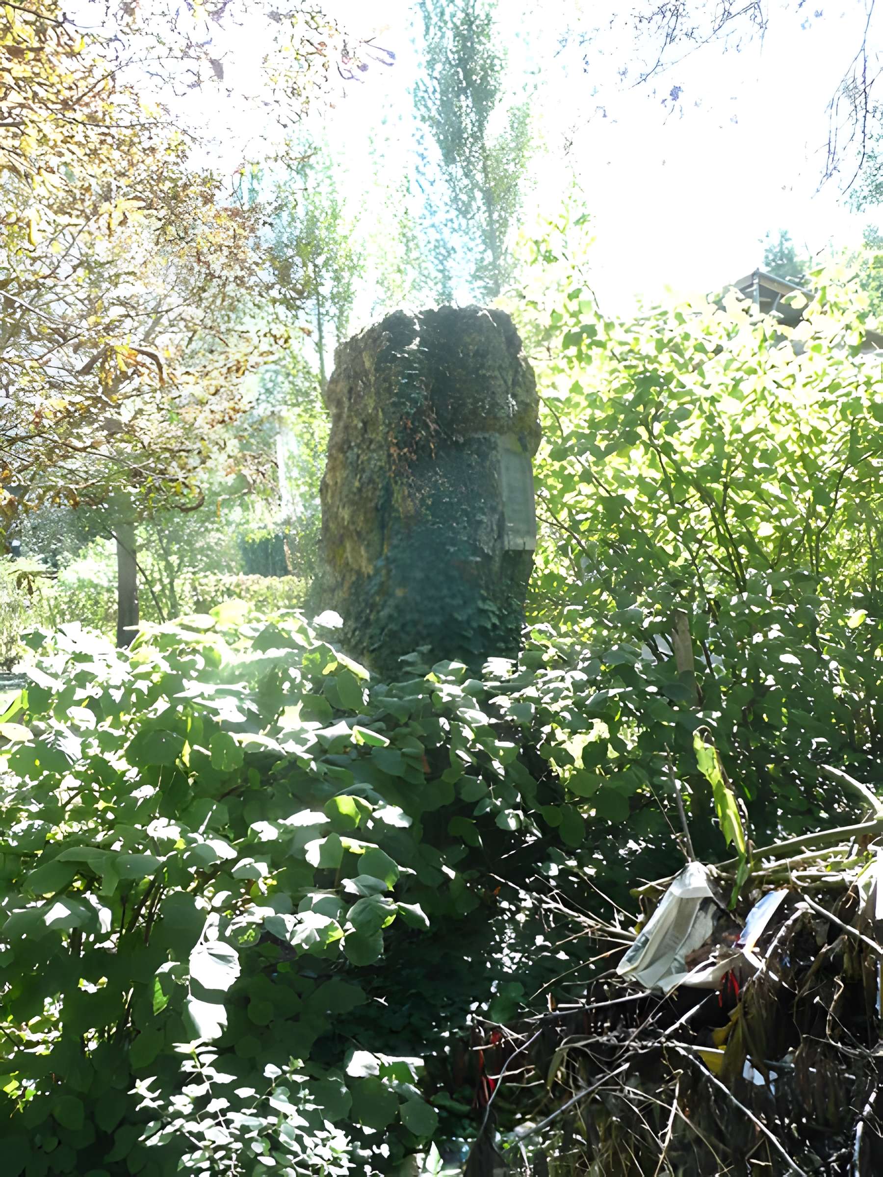 Menhir de la Pierre de Lenay de Montreuil-Bellay