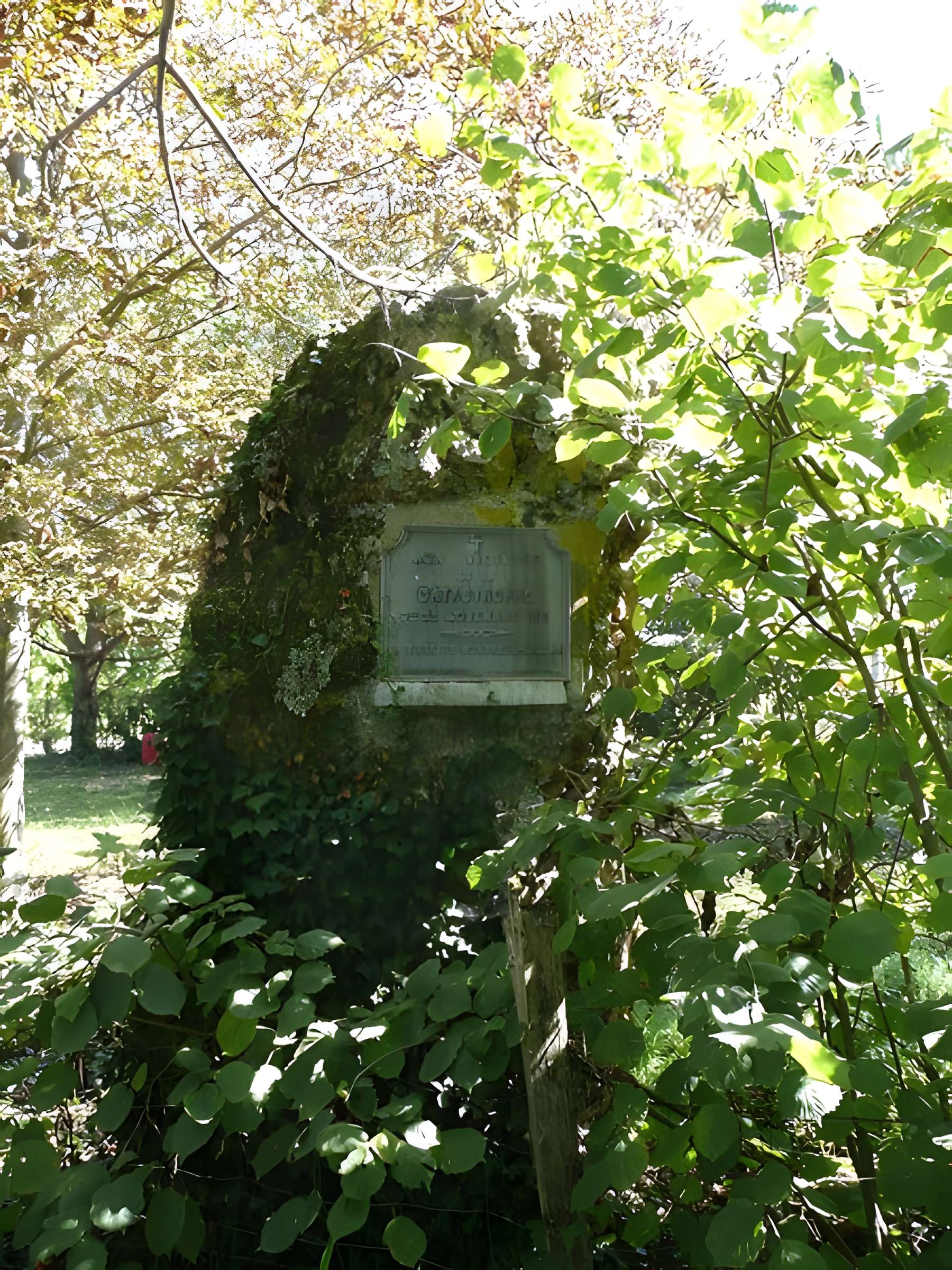 Menhir de la Pierre de Lenay de Montreuil-Bellay 