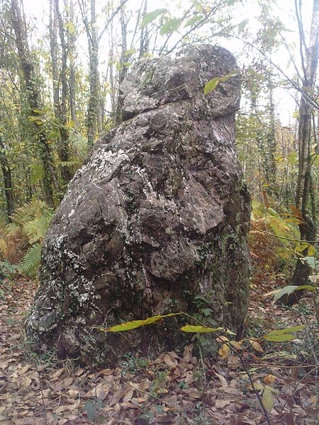 Photo de Menhir de la Pierre du Hochu de Lusanger