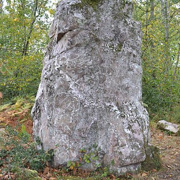 Photo de Menhir de la Pierre du Hochu de Lusanger
