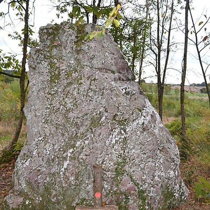 Photo de Menhir de la Pierre du Hochu de Lusanger
