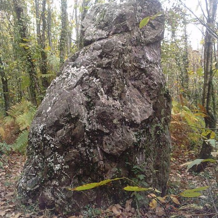 Photo de Menhir de la Pierre du Hochu de Lusanger