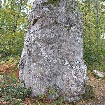 Menhir de la Pierre du Hochu de Lusanger