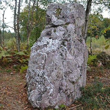 Menhir de la Pierre du Hochu de Lusanger