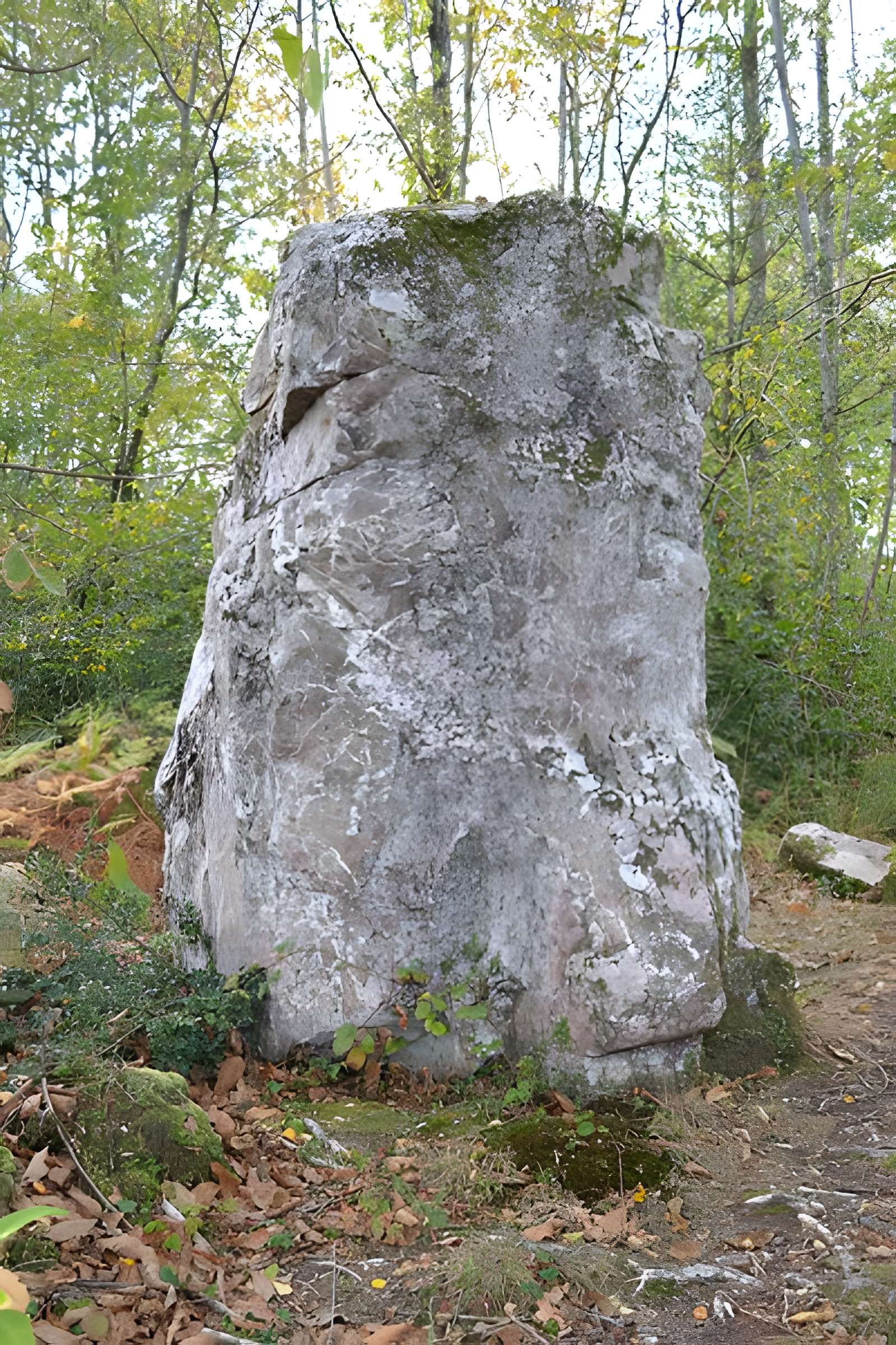 Menhir de la Pierre du Hochu de Lusanger