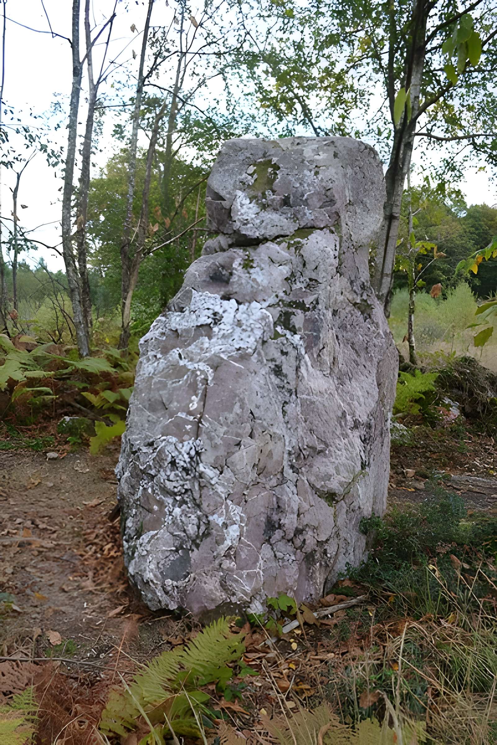 Menhir de la Pierre du Hochu de Lusanger