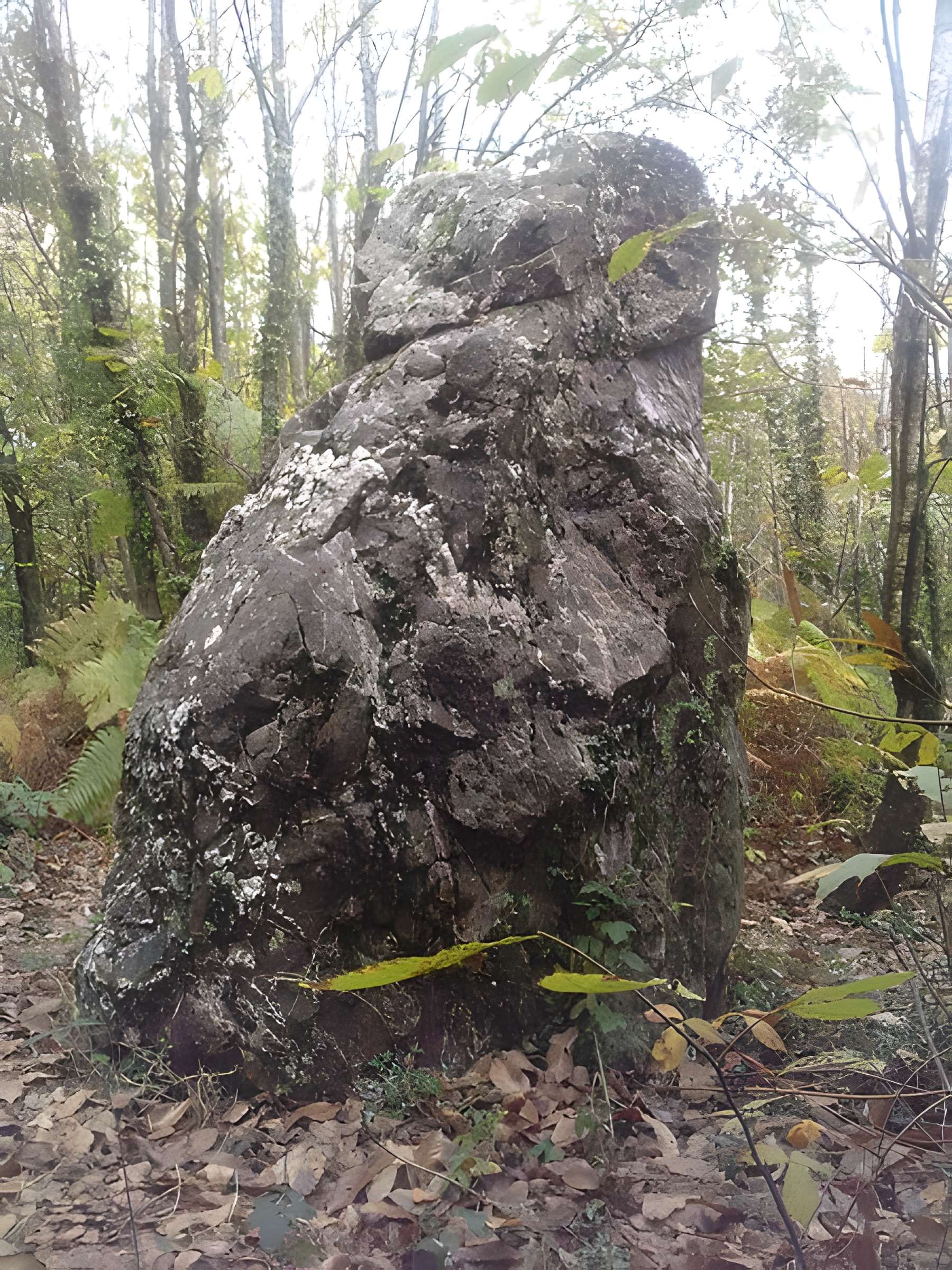 Menhir de la Pierre du Hochu de Lusanger 