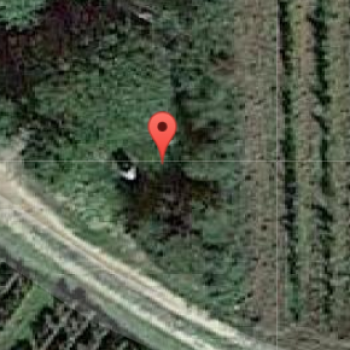 Photo de Menhir de la Pierre Levée de Dissay-sous-Courcillon