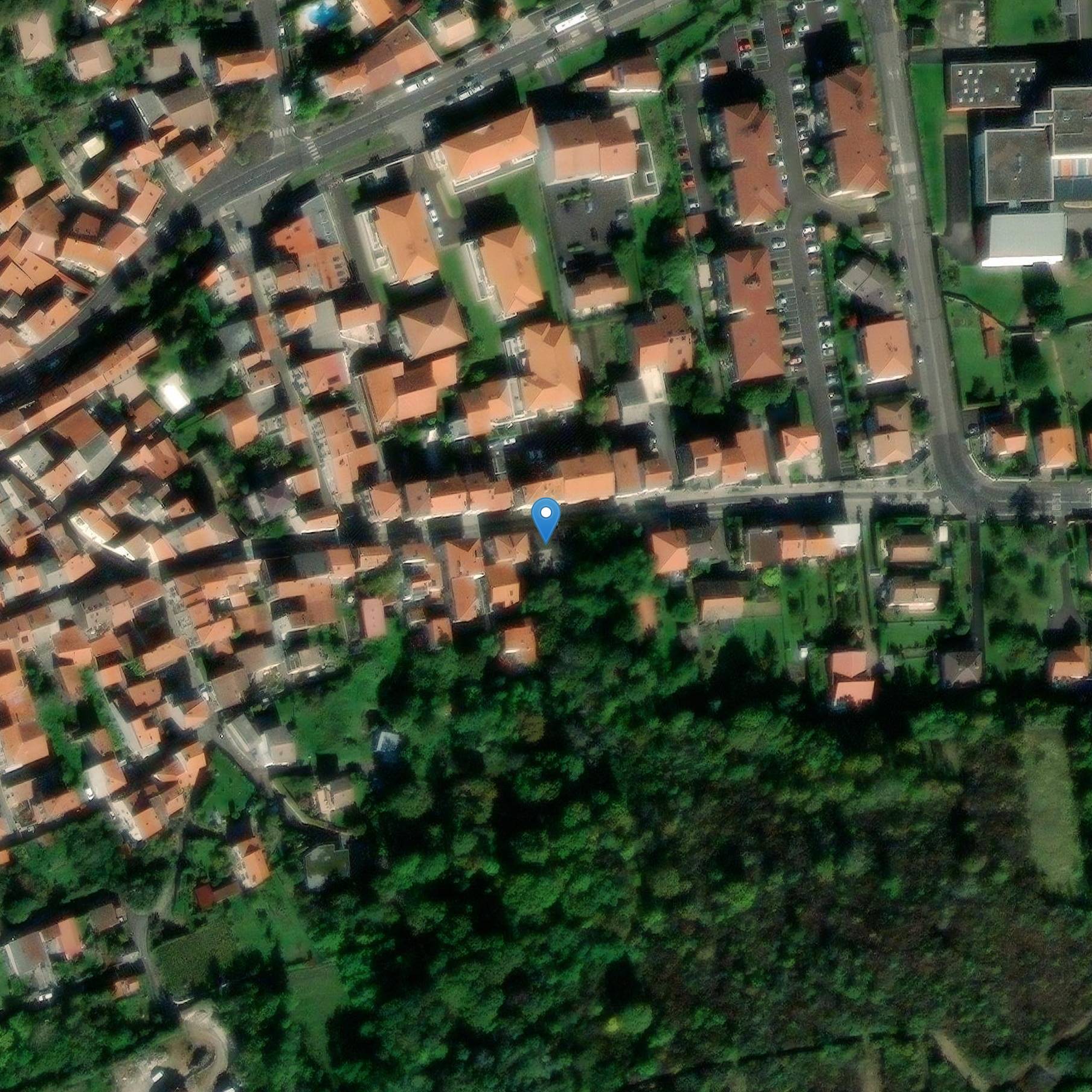 Photo de Menhir de La Pierre Piqué d'Aubière