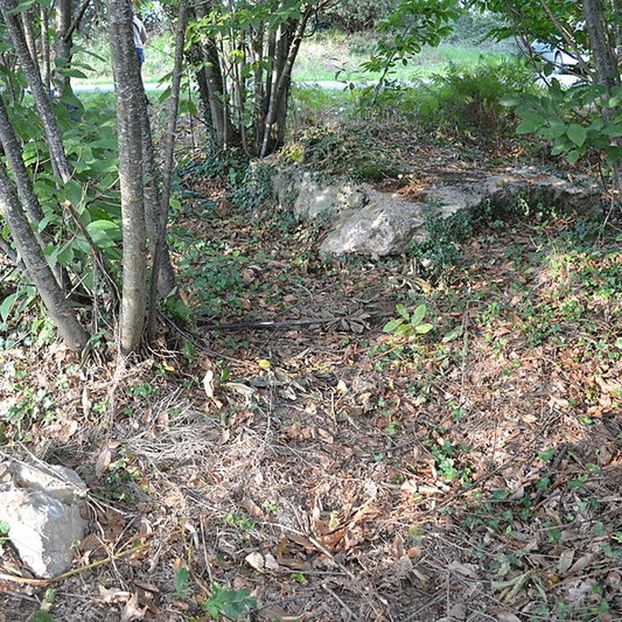Photo de Menhir de la Pierre qui Tourne de Vay