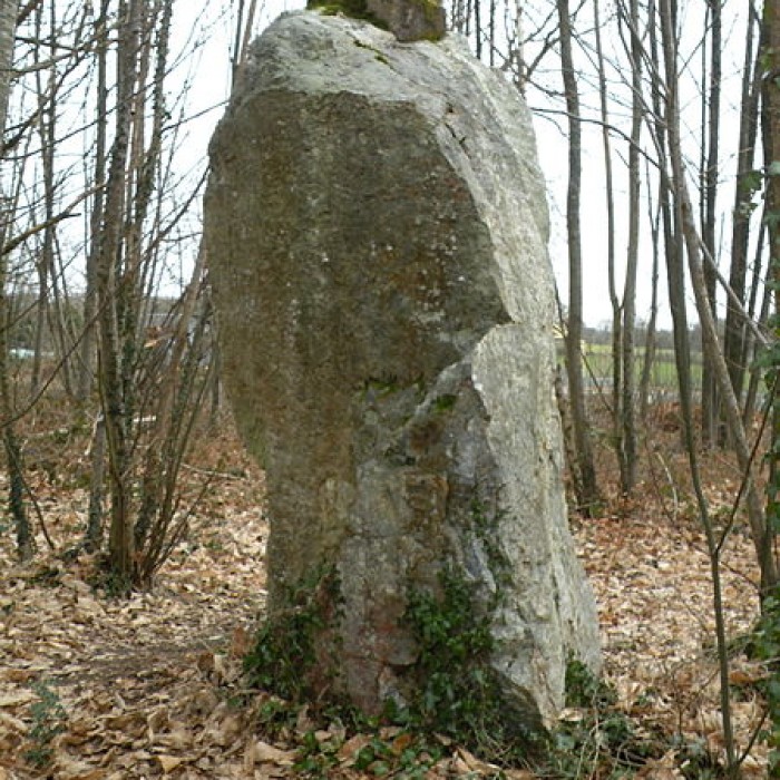 Photo de Menhir de la Pierre qui Tourne de Vay