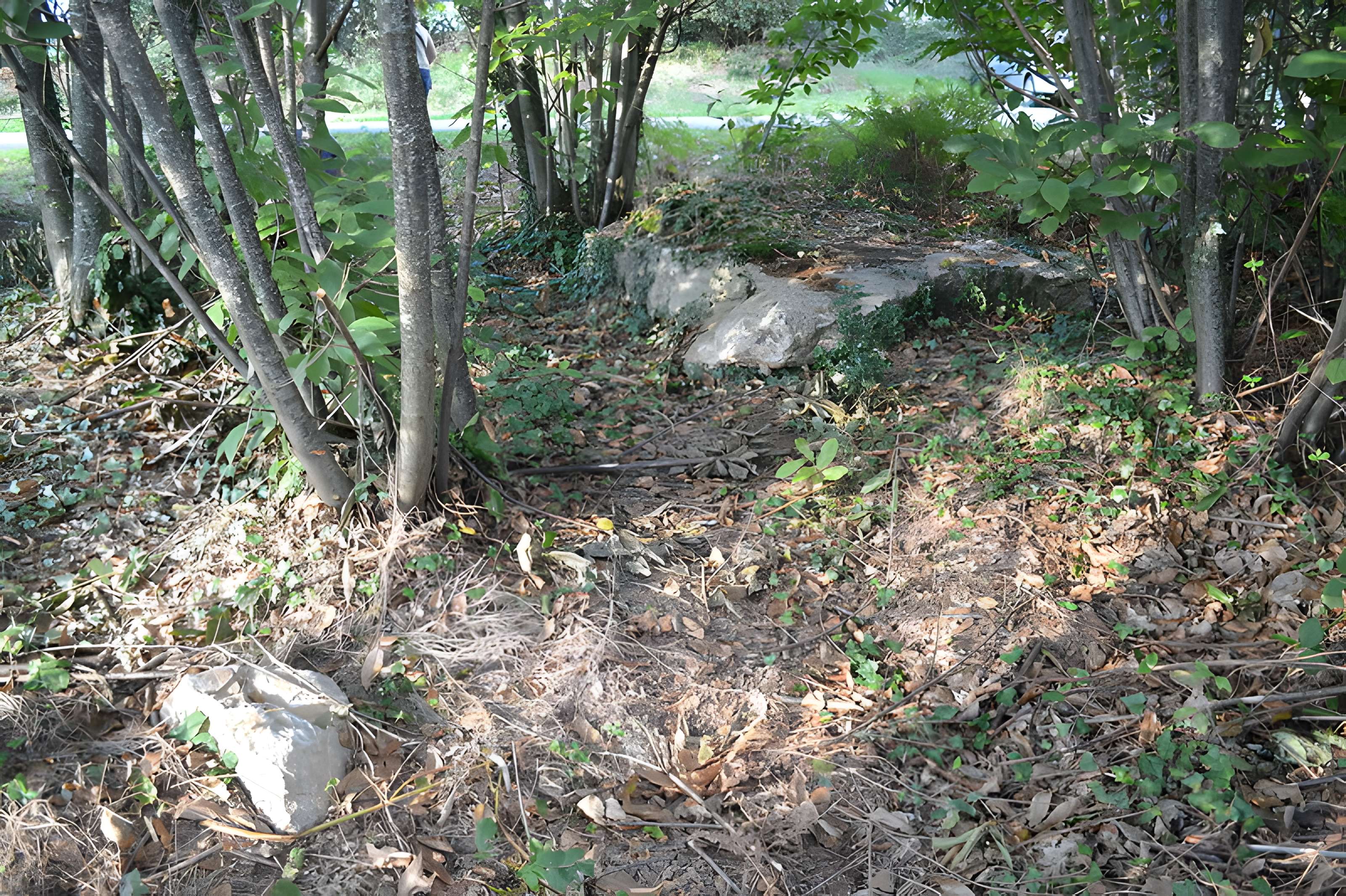 Menhir de la Pierre qui Tourne de Vay
