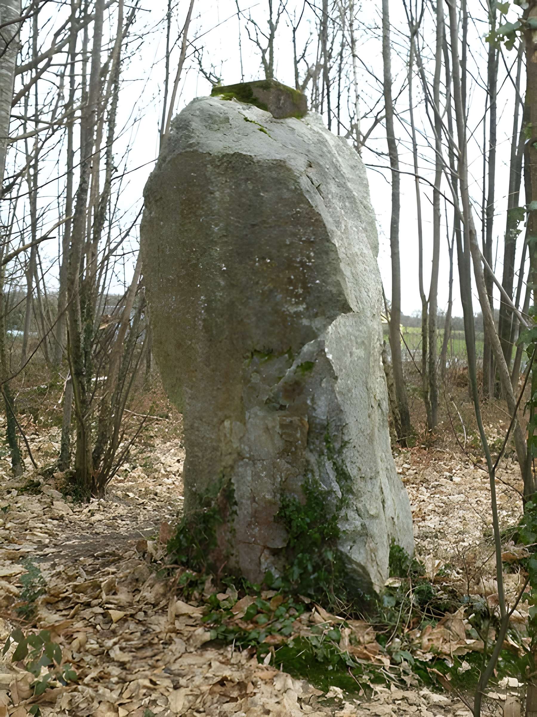 Menhir de la Pierre qui Tourne de Vay 