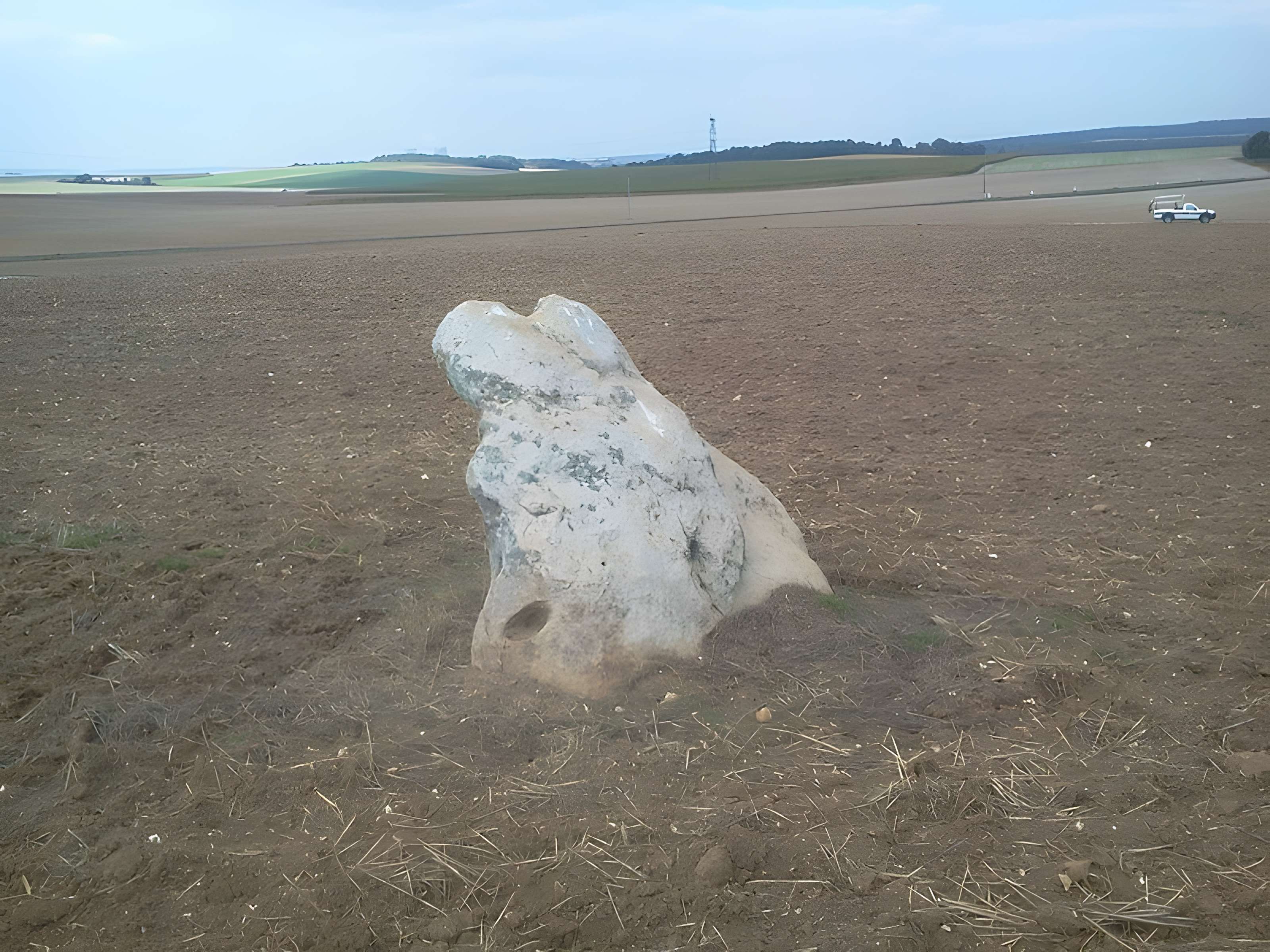 Menhir de la Pierre-au-Coq d'Avant-lès-Marcilly 