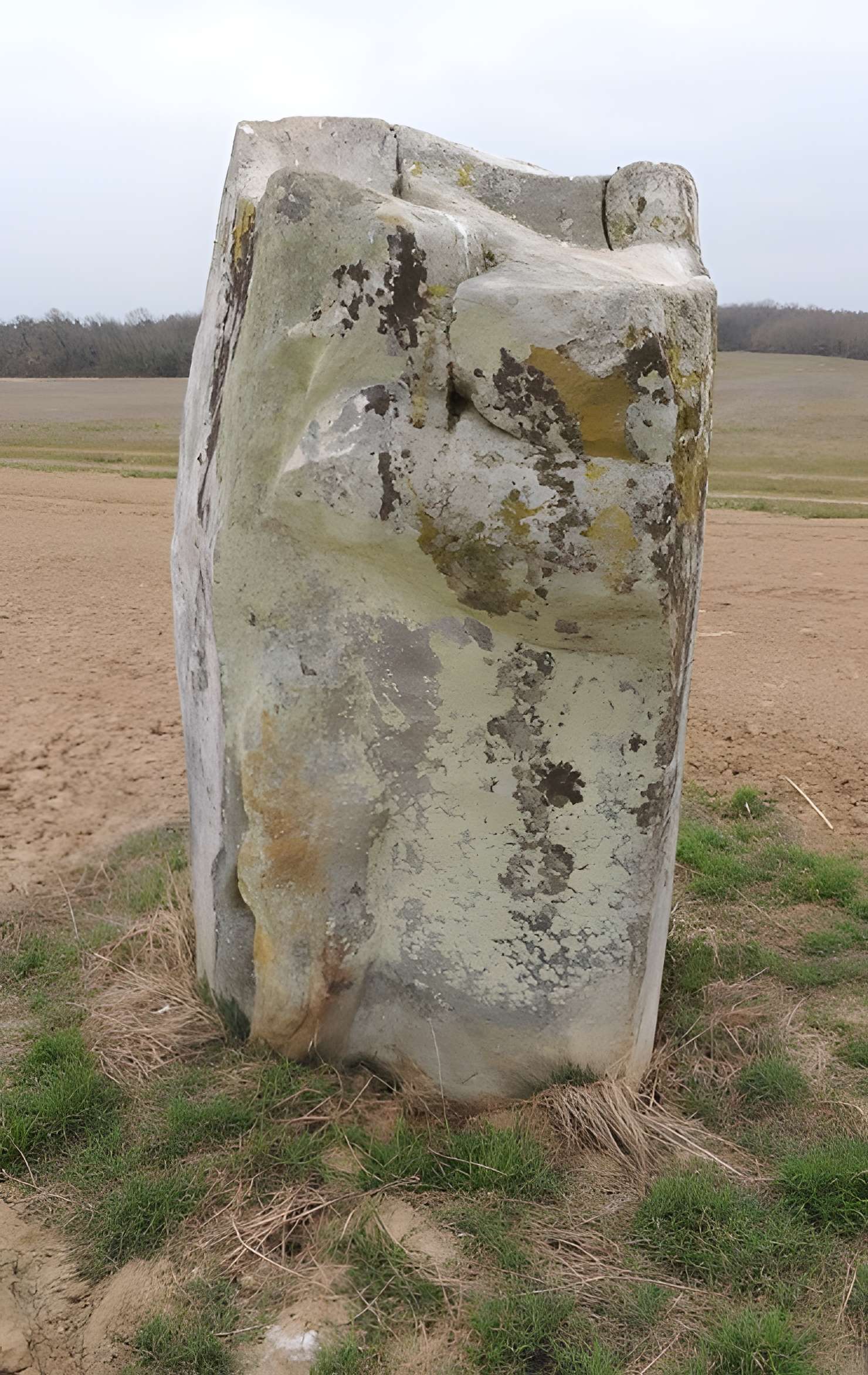Menhir de la Pierre-aux-Prêtres de Tousson 