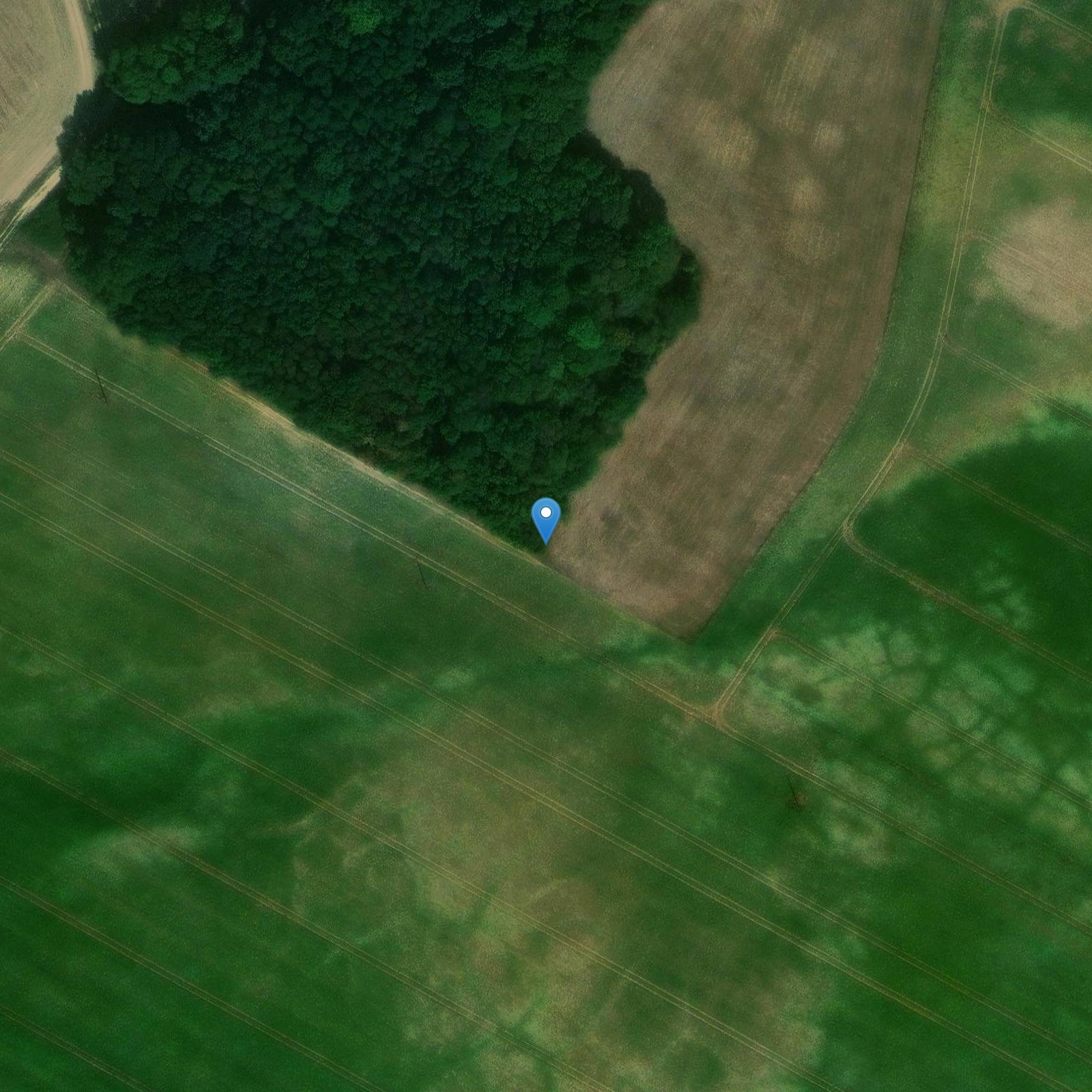 Photo de Menhir de la Pierre-Clouise de Largny-sur-Automne