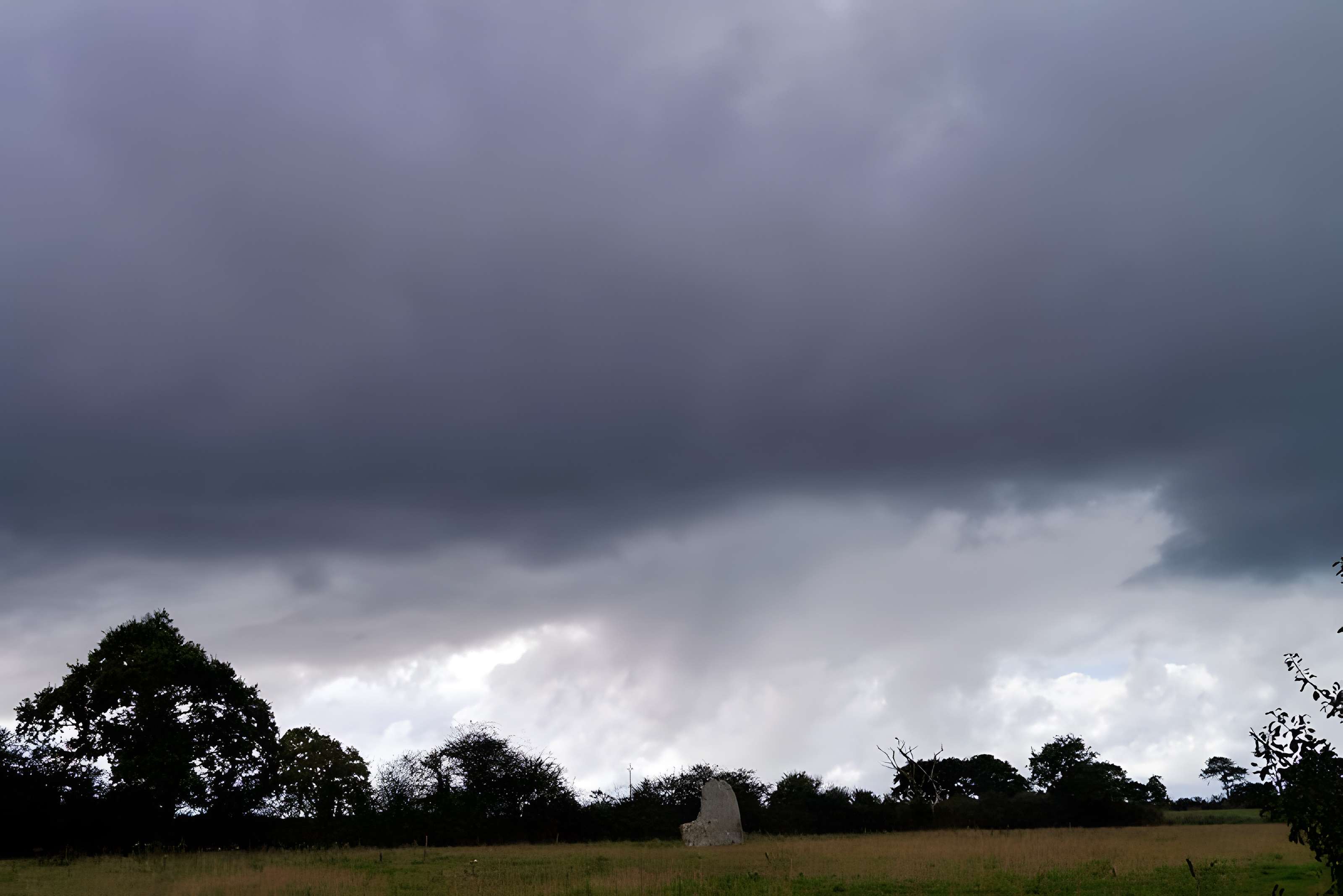Menhir de la Riveraie à Saint-Père-en-Retz
