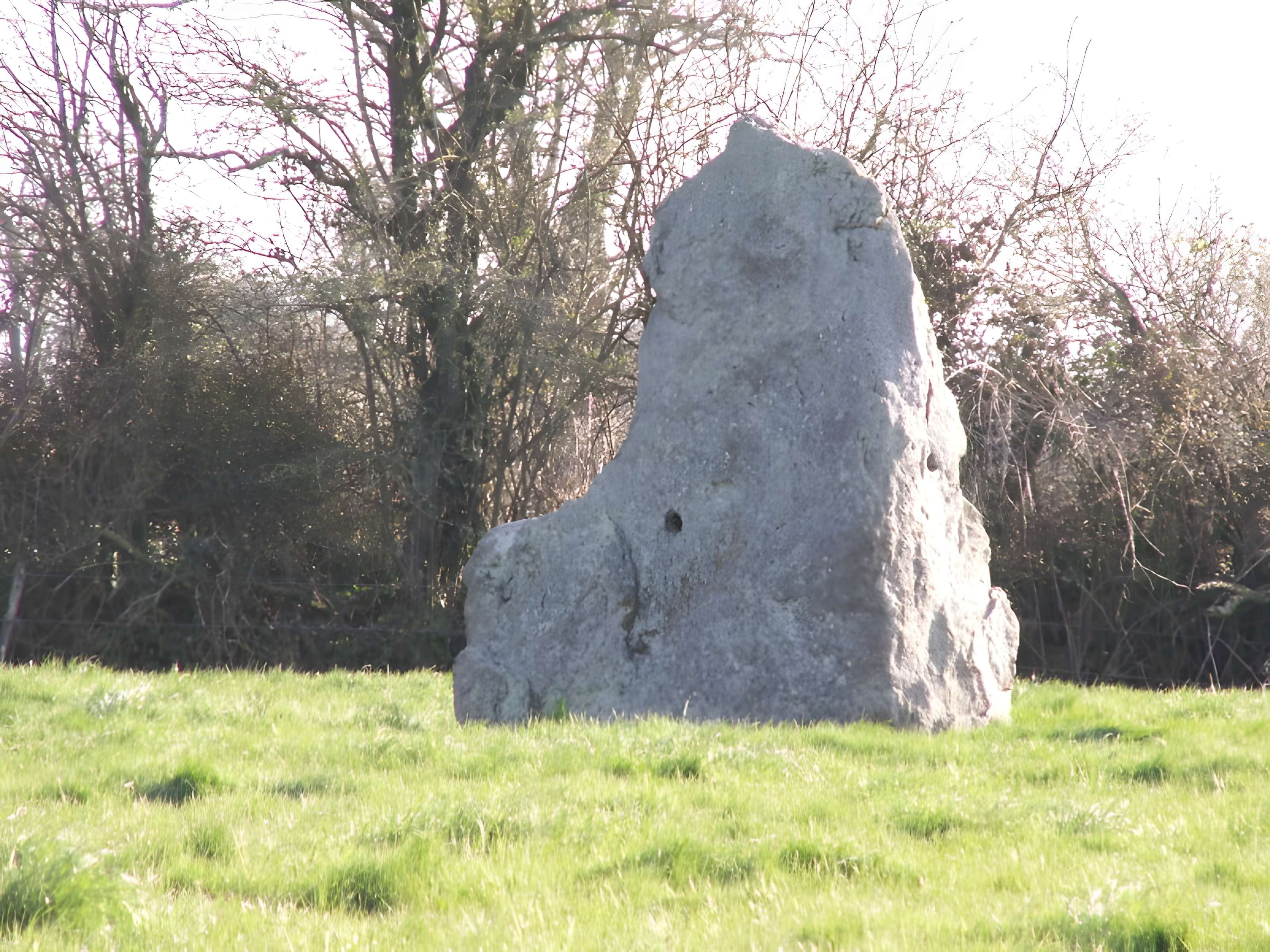 Menhir de la Riveraie à Saint-Père-en-Retz 