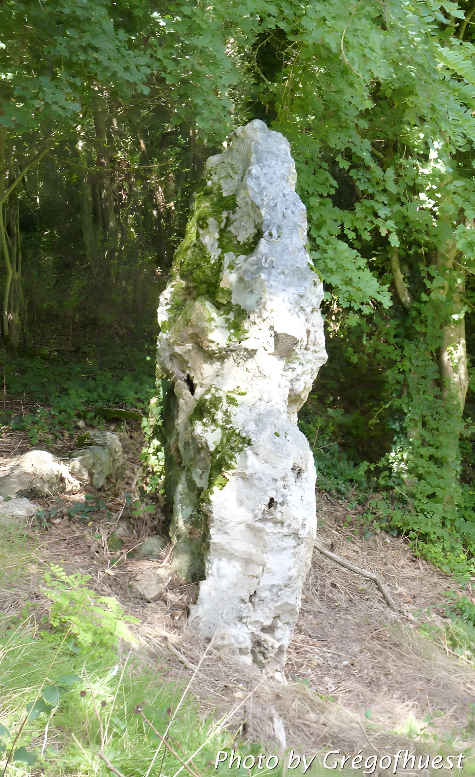 Menhir de La Serpinerie de Dissay-sous-Courcillon 