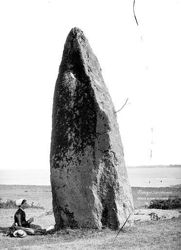 Photo de Menhir de la Vacherie de Donges