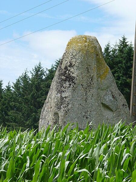 Menhir de la Ville-Juhel au Vieux-Bourg