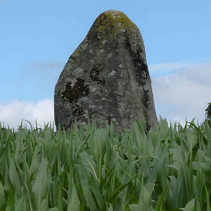 Photo de Menhir de la Ville-Juhel au Vieux-Bourg