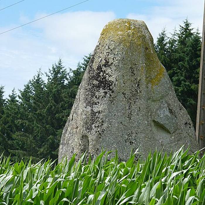 Photo de Menhir de la Ville-Juhel au Vieux-Bourg
