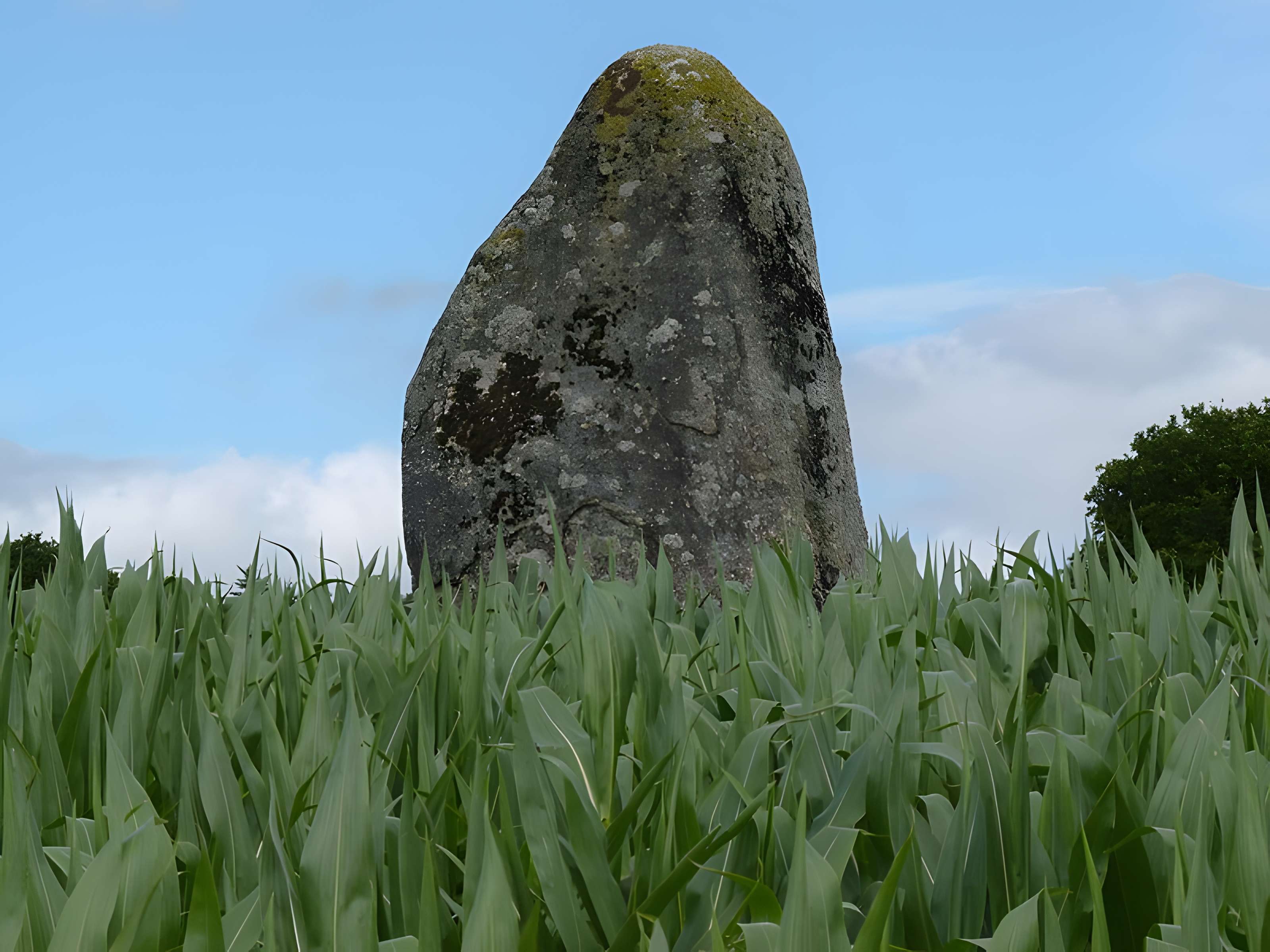 Menhir de la Ville-Juhel au Vieux-Bourg 